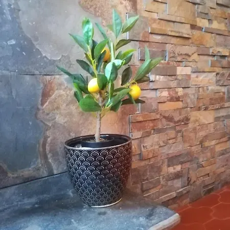 Casa Carvalhinhas Сasa de vacaciones
